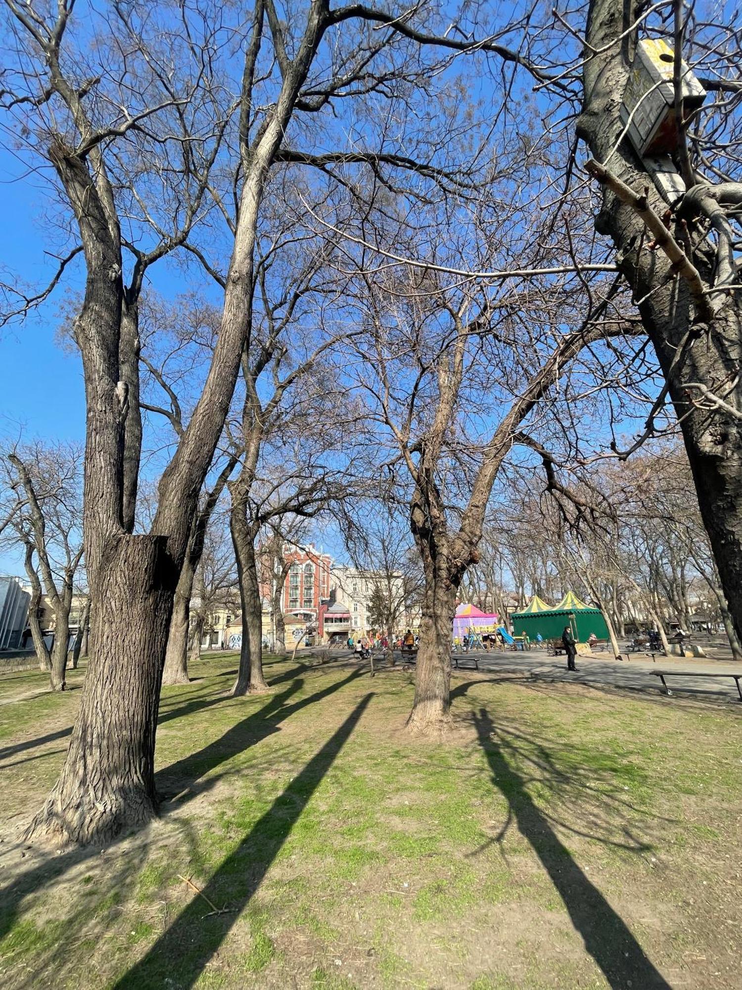 Pierre Apartments Одесса Экстерьер фото